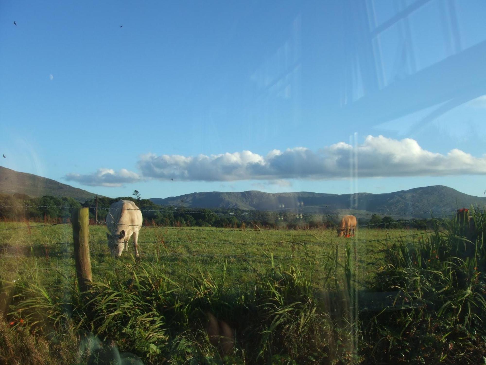 River Meadows B&B Kenmare Exteriör bild