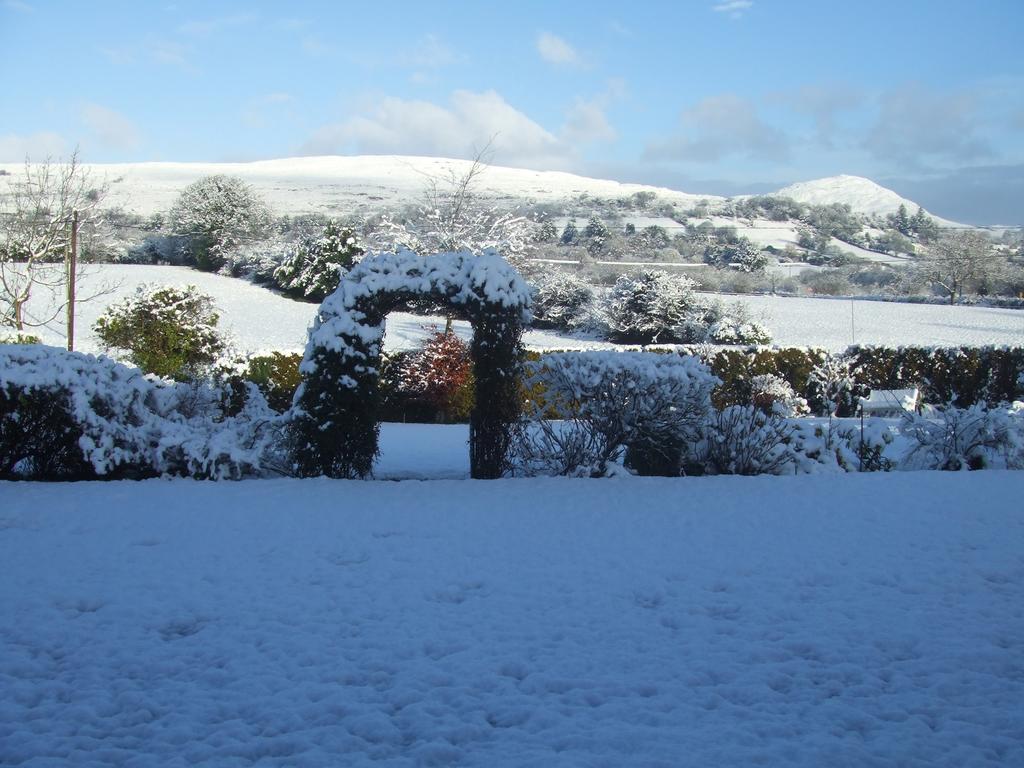 River Meadows B&B Kenmare Exteriör bild